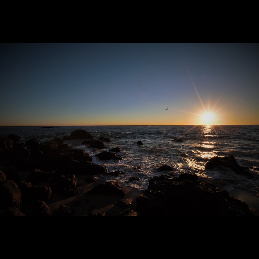 Meet your Posher, Richard